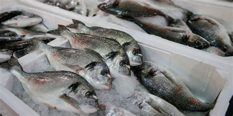 güncel balık fiyatları 2022